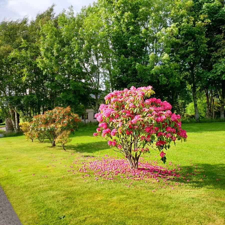 Bogenraith House Hotel Banchory Kültér fotó