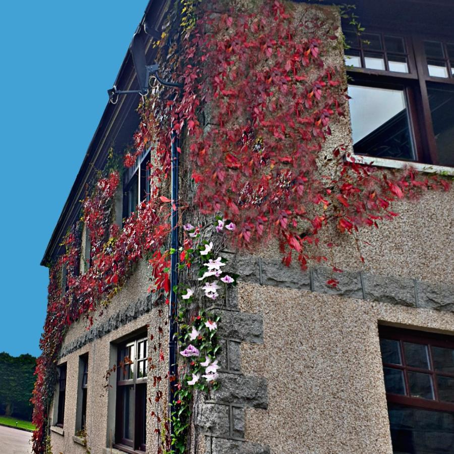 Bogenraith House Hotel Banchory Kültér fotó